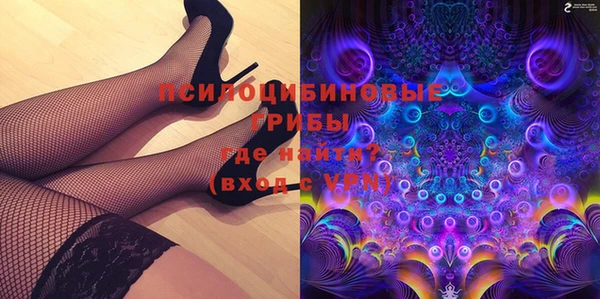 шишки Новокубанск