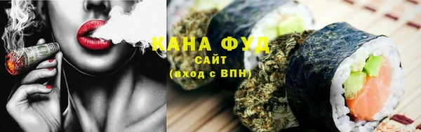 соль ск Няндома