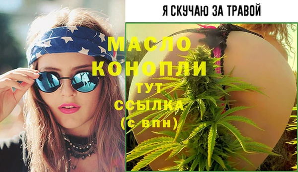 соль ск Няндома