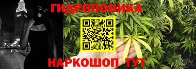 крисы Кандалакша