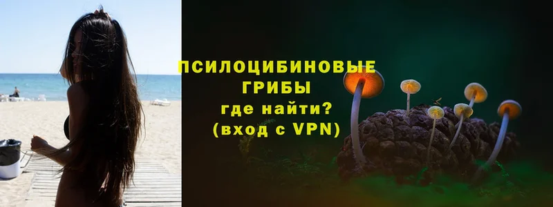 Галлюциногенные грибы Psilocybine cubensis  наркотики  сайты даркнета телеграм  Ноябрьск  mega онион 