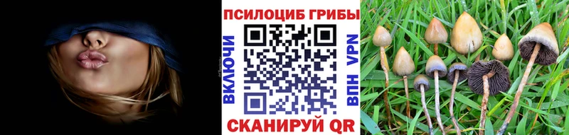 Галлюциногенные грибы MAGIC MUSHROOMS  кракен ссылки  Ноябрьск  хочу наркоту 