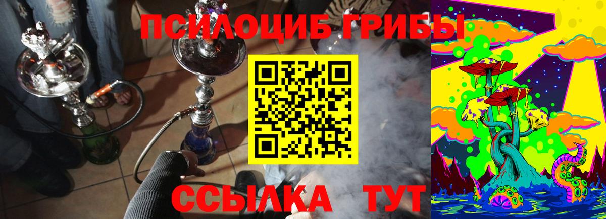 Ноябрьск  закладки  Вход с VPN  Псилоцибиновые грибы Psilocybe 