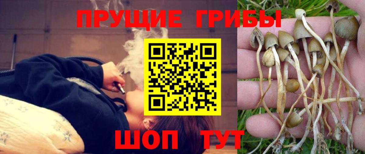 Ноябрьск  Мефедрон кристаллы  Вход с VPN  МЕТАДОН  Где купить наркотики?  Гашиш  Бошки Шишки  ГАШ  APVP СК  